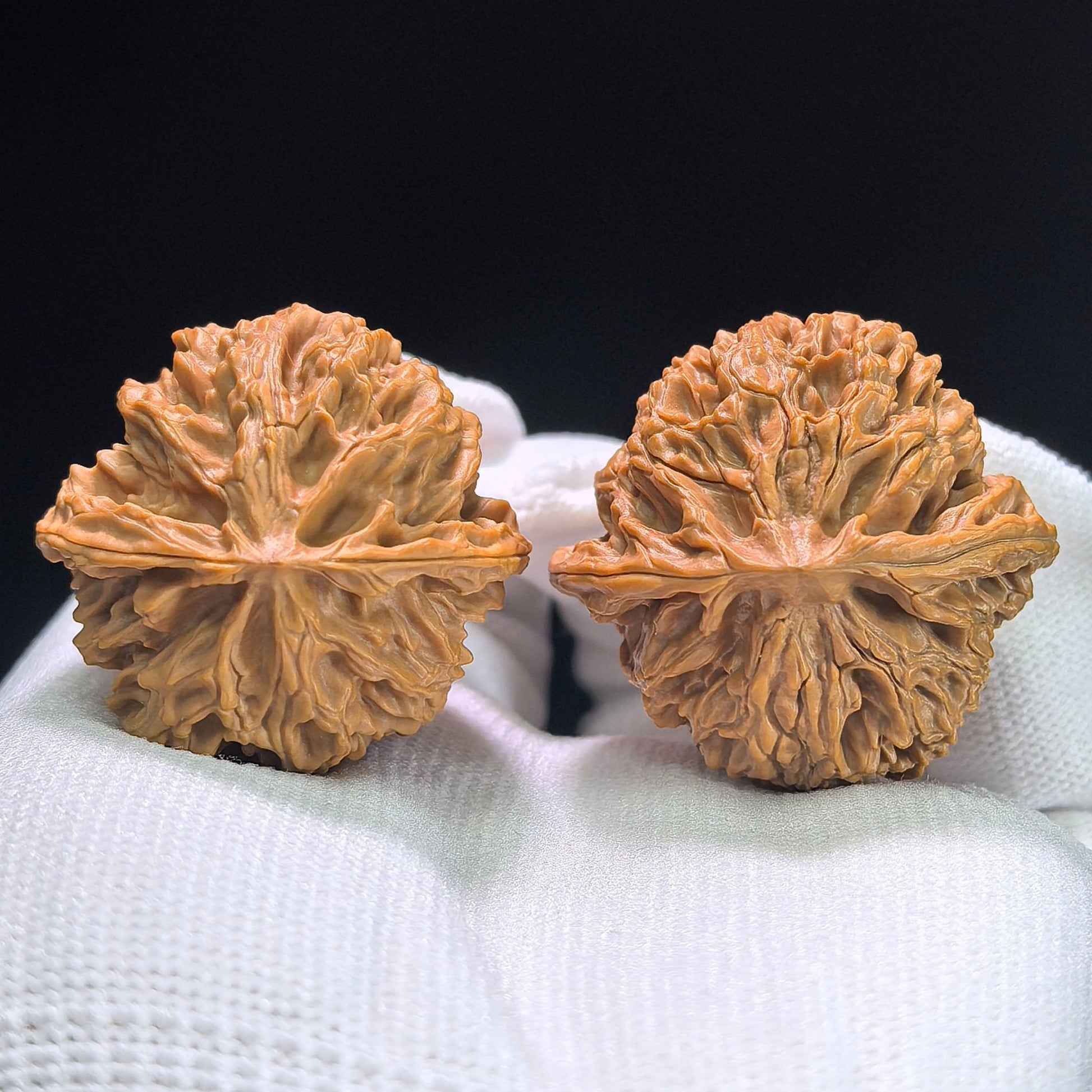 The "Imperial Orchard" (Ping Guo Yuan) Select Miniature Balanced Pair | 37.0mm x 36.0mm | Compact Shou Nian Format | PGY-1404 - ThePatinaProject