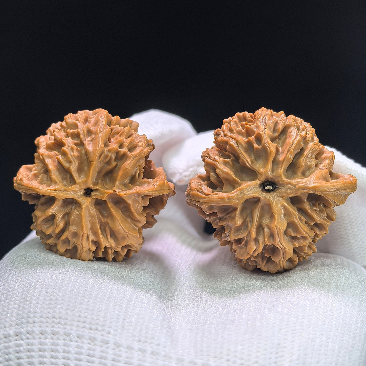 The "Imperial Orchard" (Ping Guo Yuan) Select Miniature Balanced Pair | 37.0mm x 36.0mm | Compact Shou Nian Format | PGY-1404 - ThePatinaProject