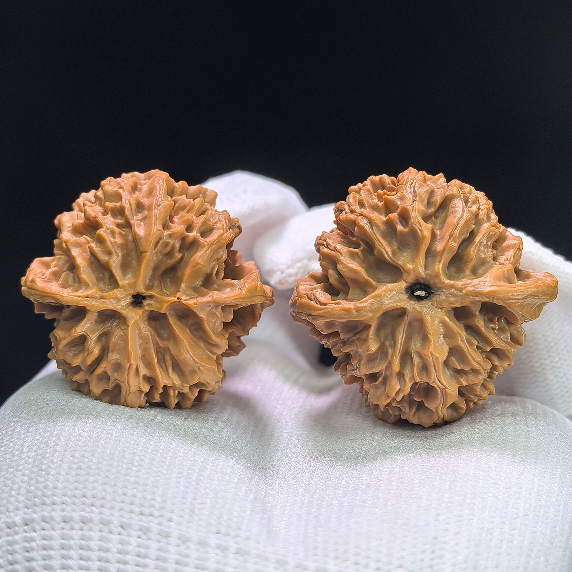 The "Imperial Orchard" (Ping Guo Yuan) Select Miniature Balanced Pair | 37.0mm x 36.0mm | Compact Shou Nian Format | PGY-1404 - ThePatinaProject