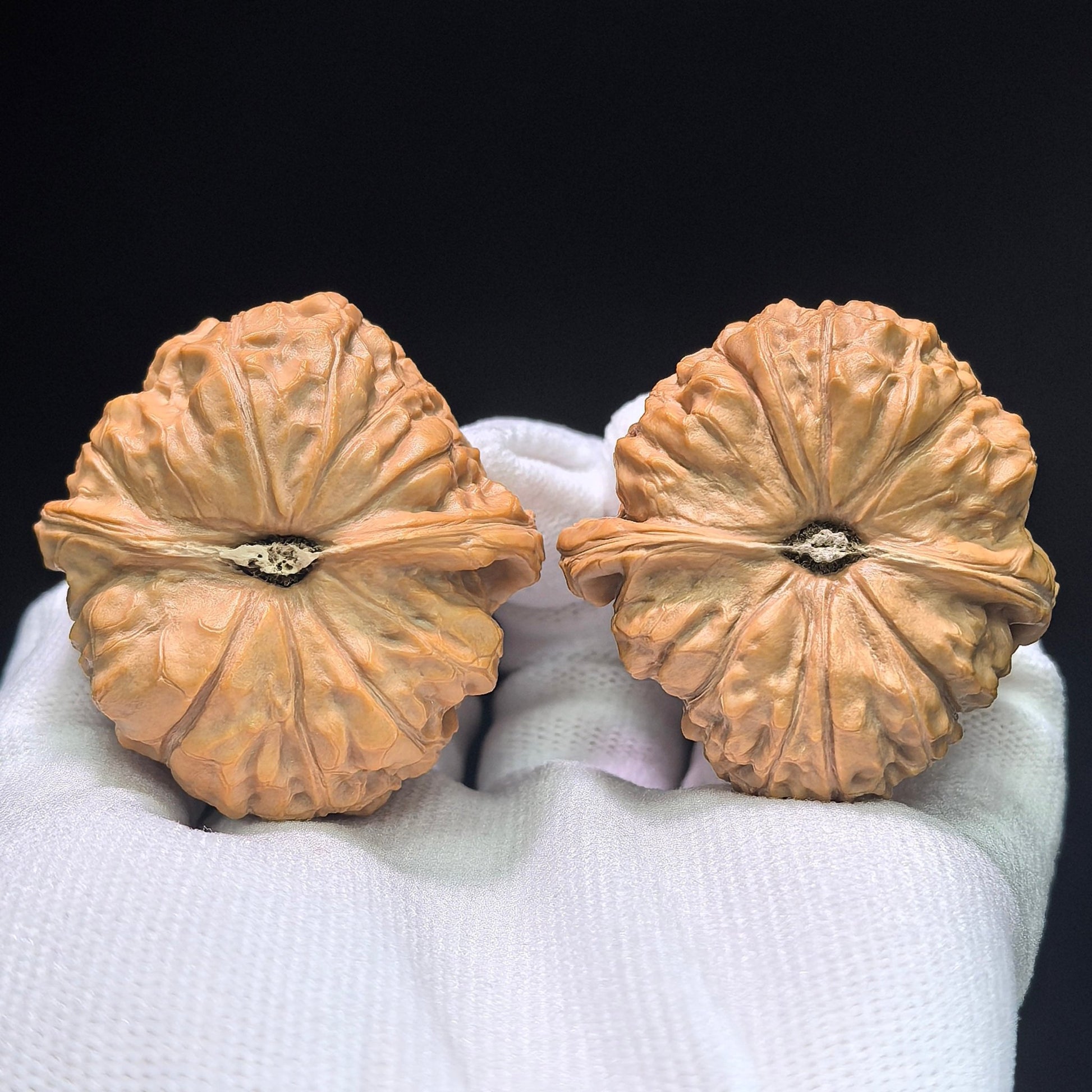 The "Imperial Pumpkin Ingot" (Nan Gua Dun) Premium Low-Profile Deep-Belly Pair | 43.0mm x 45.0mm | NGD-1403 - ThePatinaProject