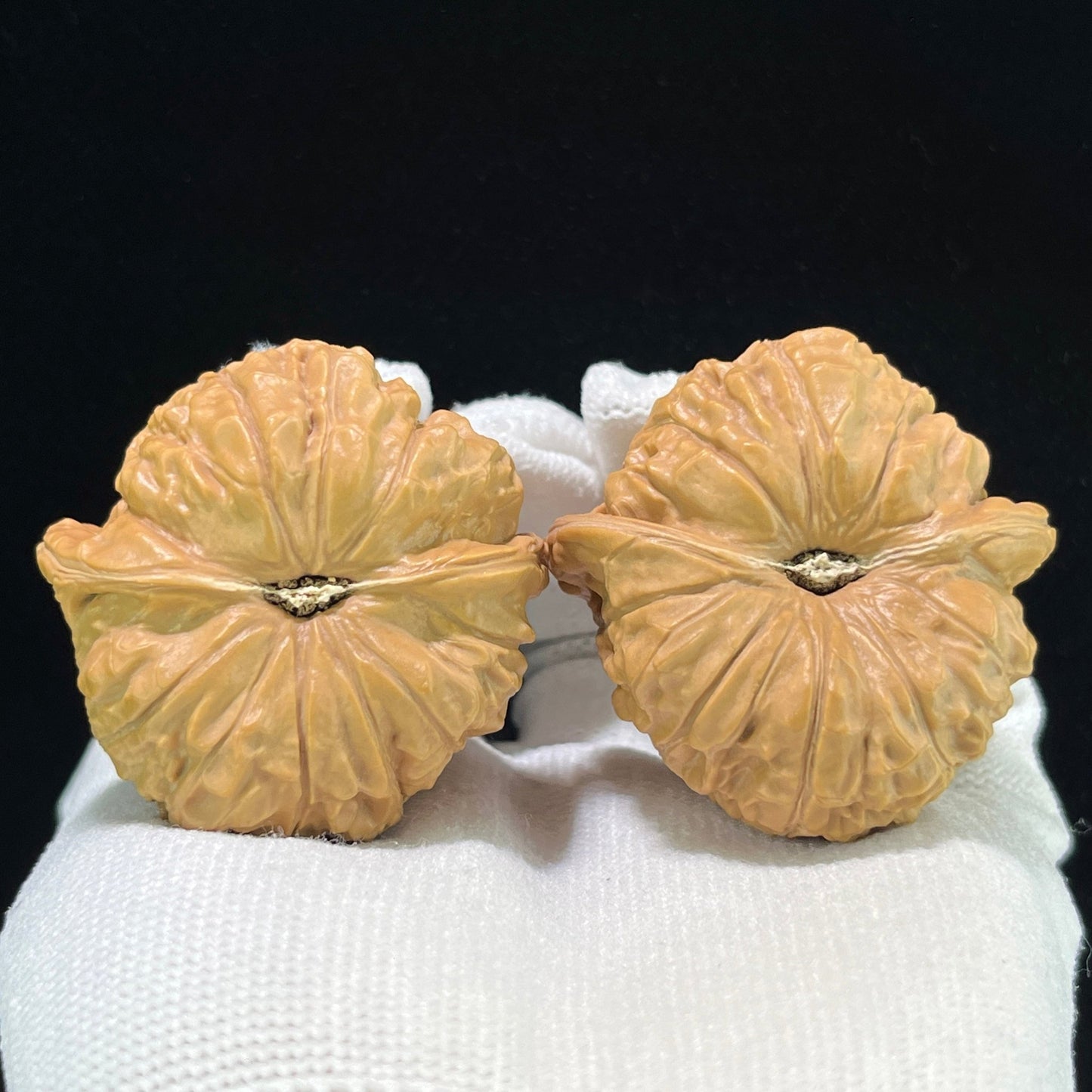 The "Imperial Pumpkin" (Nan Gua Dun) Proportional Ingot Pair | 43.0mm x 43.0mm | 1:1 Perfect Isometric Match | NGD-1002 - ThePatinaProject