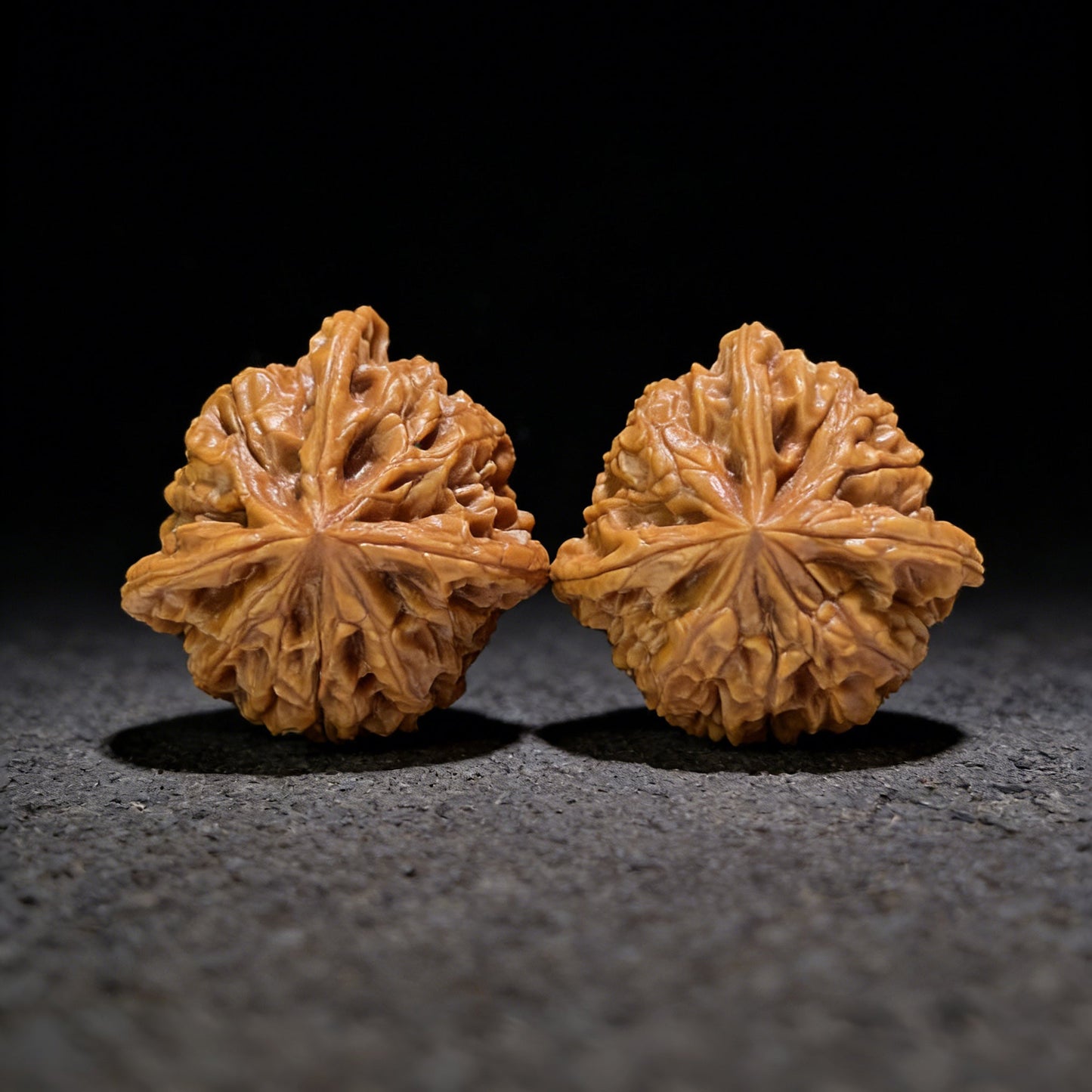 The "Imperial Seal White Lion" (Yuxi Baishizi) Three-Ridge Mutation Pair | 38.0mm x 38.0mm | YXBSZ3N-1001E - ThePatinaProject
