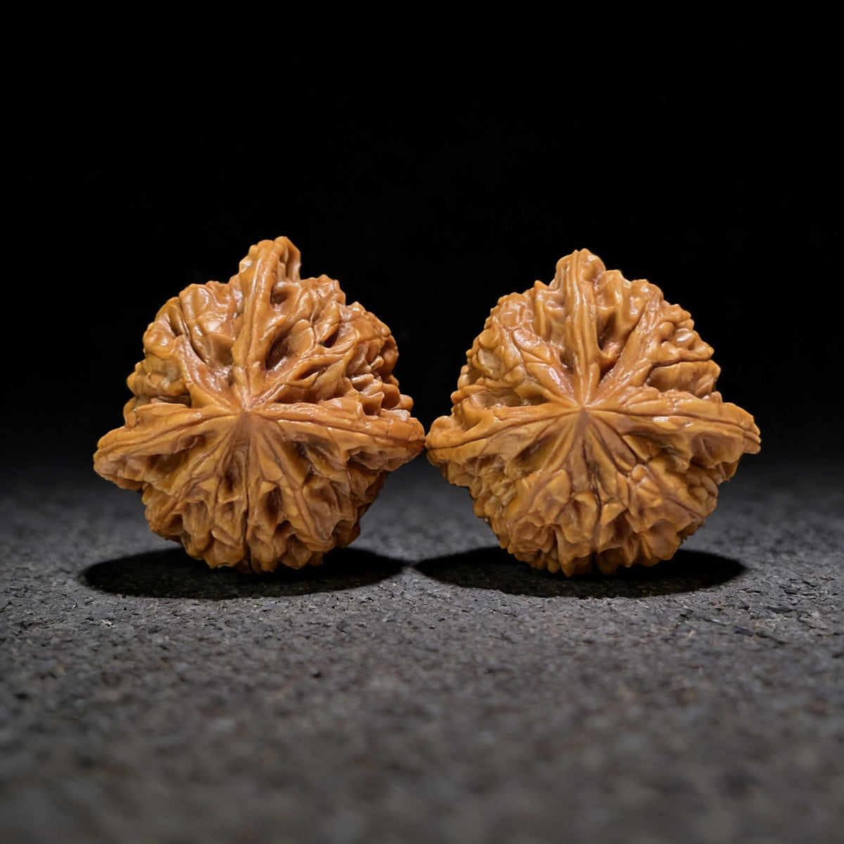 The "Imperial Seal White Lion" (Yuxi Baishizi) Three-Ridge Mutation Pair | 38.0mm x 38.0mm | YXBSZ3N-1001E - ThePatinaProject
