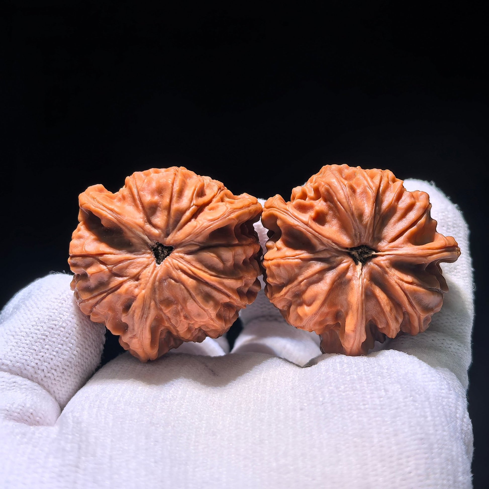 The "Imperial Seal" (Yu Xi) Symmetrical Three-Edge Pair | Collector Grade | 38.0mm x 39.0mm | YSSN-1201E - ThePatinaProject