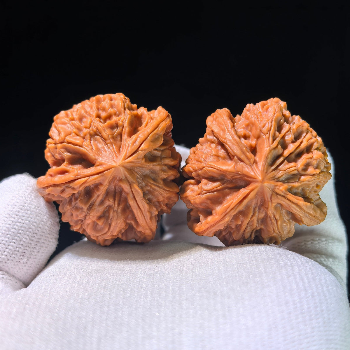 The "Imperial Seal" (Yu Xi) Trident Three-Ridge Pair | 37.0mm x 38.0mm | YSSN-1203E - ThePatinaProject