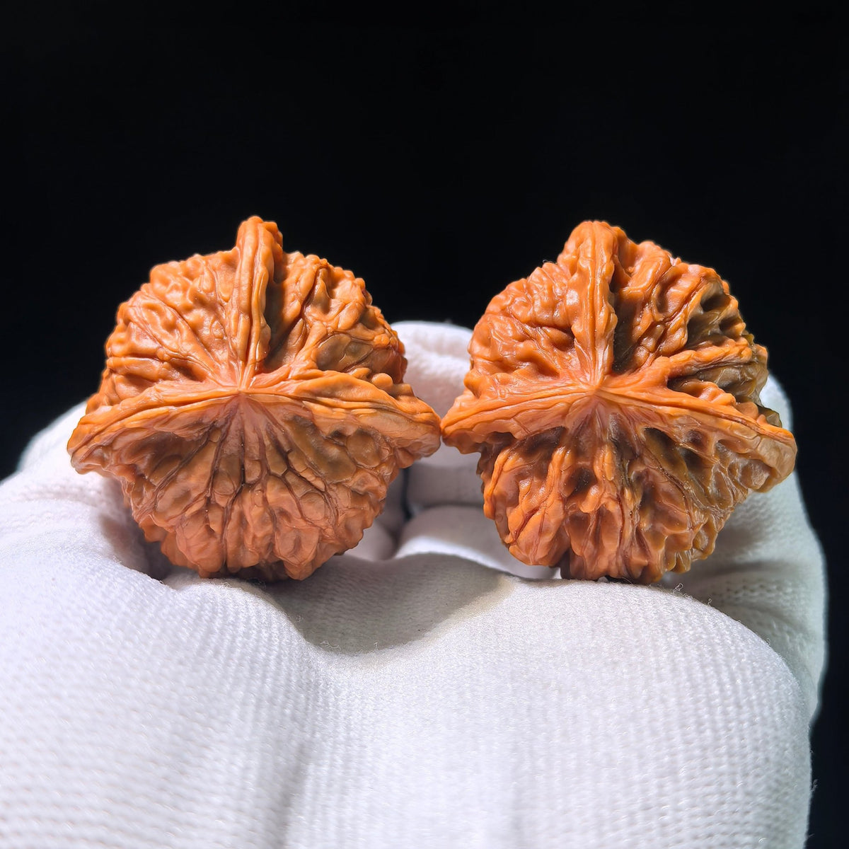 The "Imperial Seal" (Yu Xi) Y-Shaped Tri-Edge Collector's Pair | 38.0mm x 39.0mm | YSSN-1202E - ThePatinaProject