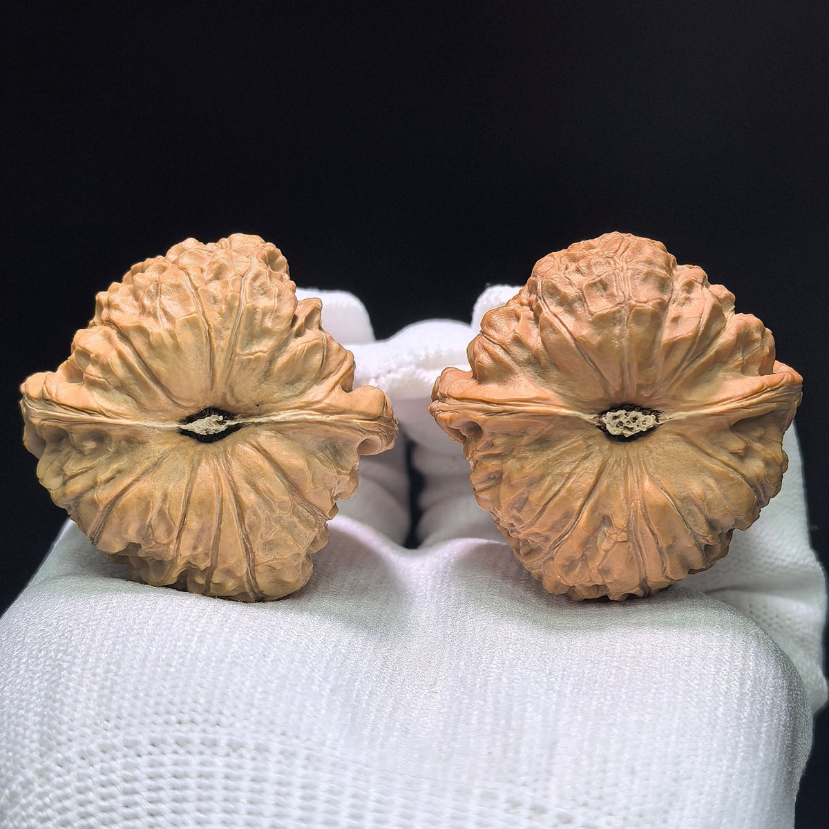 The "Imperial Tall-Posture Pumpkin" (Nan Gua Dun Gao Chun) Premium Scholar Walnuts | 41.0mm x 41.0mm | 1:1 Perfect Isometric Match | NGD-1404 - ThePatinaProject