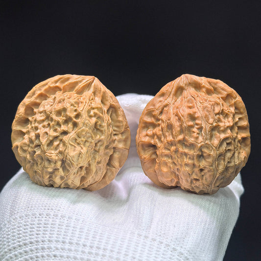 The "Imperial Tall-Posture Pumpkin" (Nan Gua Dun Gao Chun) Premium Scholar Walnuts | 41.0mm x 41.0mm | 1:1 Perfect Isometric Match | NGD-1404 - ThePatinaProject