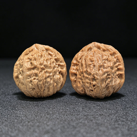 The "Imperial Tall-Posture Pumpkin" (Nan Gua Dun Gao Chun) Premium Scholar Walnuts | 41.0mm x 41.0mm | 1:1 Perfect Isometric Match | NGD-1404 - ThePatinaProject