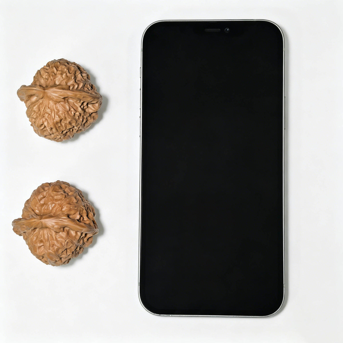 The "Imperial Tall-Posture Pumpkin" (Nan Gua Dun Gao Chun) Premium Scholar Walnuts | 41.0mm x 41.0mm | 1:1 Perfect Isometric Match | NGD-1404 - ThePatinaProject