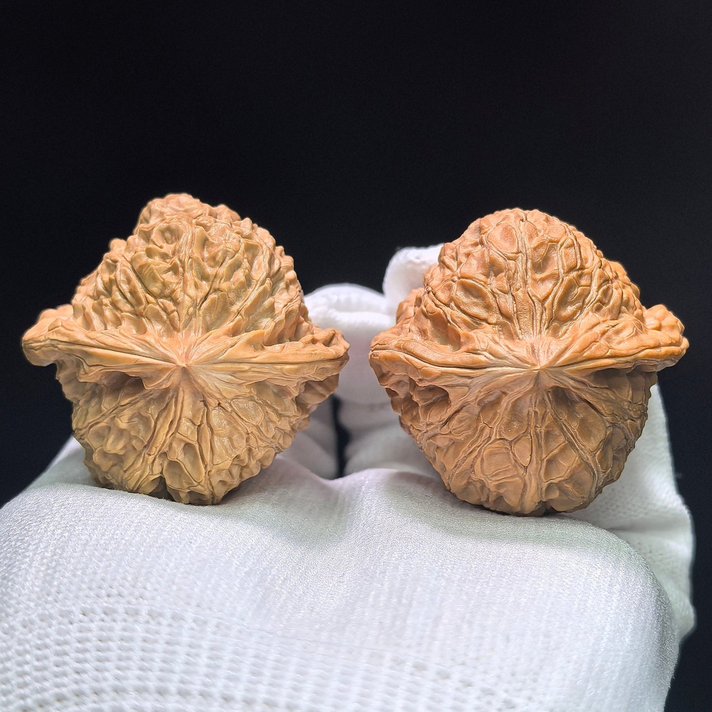 The "Imperial Tall-Posture Pumpkin" (Nan Gua Dun Gao Chun) Premium Scholar Walnuts | 41.0mm x 41.0mm | 1:1 Perfect Isometric Match | NGD-1404 - ThePatinaProject