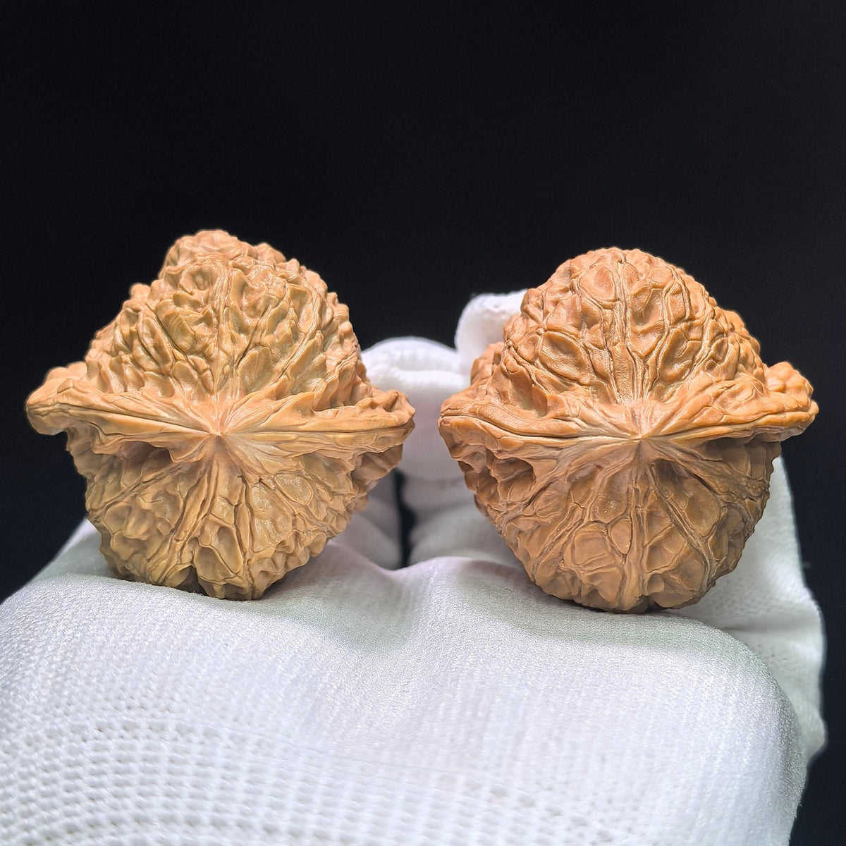The "Imperial Tall-Posture Pumpkin" (Nan Gua Dun Gao Chun) Premium Scholar Walnuts | 41.0mm x 41.0mm | 1:1 Perfect Isometric Match | NGD-1404 - ThePatinaProject