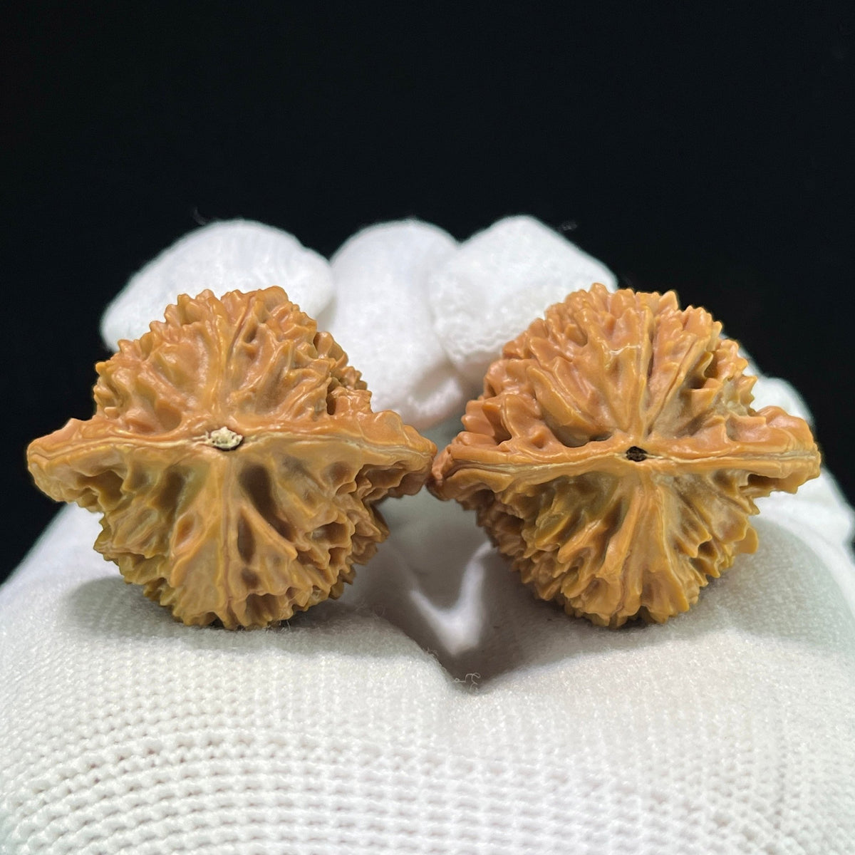 The "Imperial Vase & Platypus" (Yu Ping x Ya Zui Shou) Rare Hybrid Pair | 34.0mm x 30.0mm | Miniature Finger-Twirling Format | YPYZS-1001 - ThePatinaProject