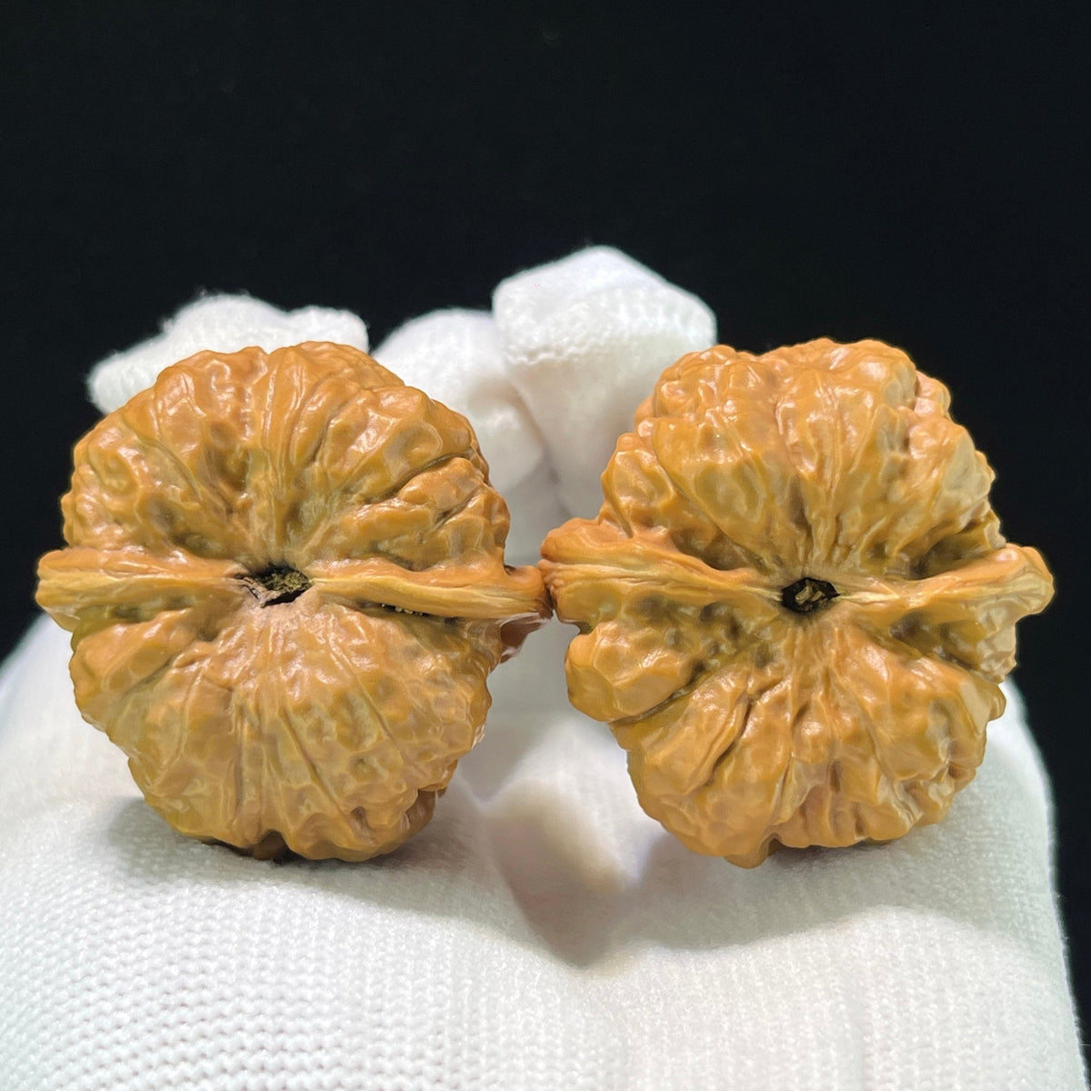 The "Imperial Wealth Toad" (Ha Ma Tou) Premium Deep-Belly Pair | 36.0mm x 38.0mm | W-1005 - ThePatinaProject