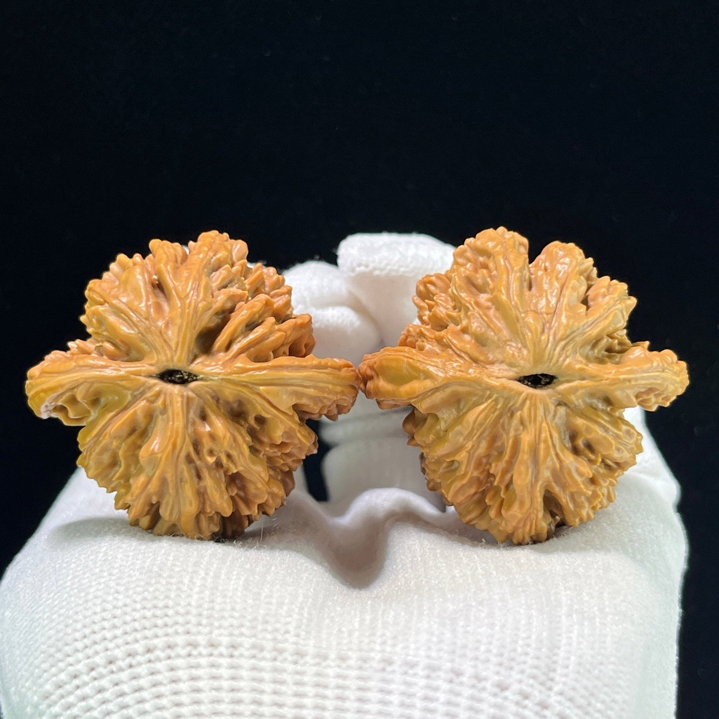 The "Imperial Wheat Ear" (Mai Sui Hu Tou) Premium Balanced Pair | 41.0mm x 40.0mm | MSHT-1001 - ThePatinaProject