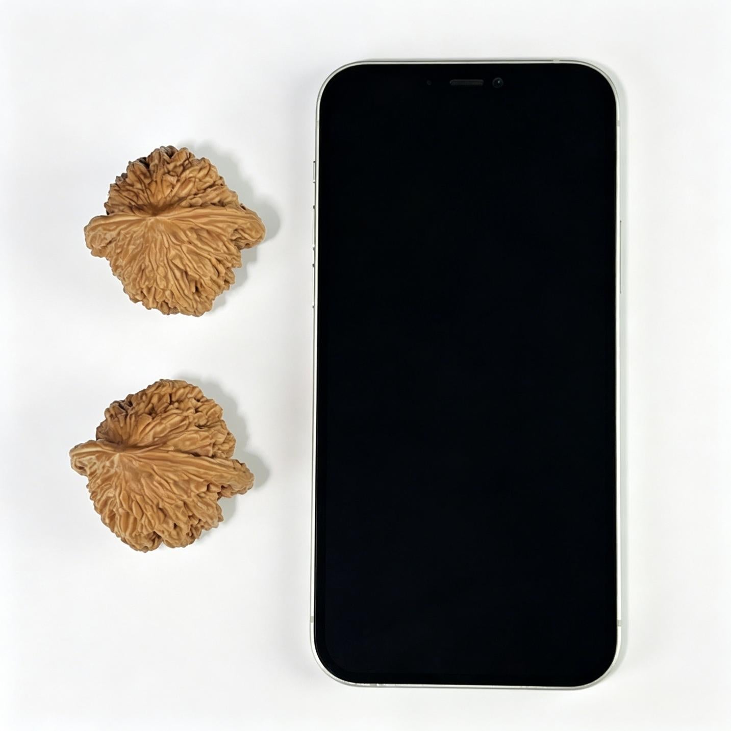 The "Imperial Wheat Ear" (Mai Sui Hu Tou) Premium Balanced Pair | 41.0mm x 40.0mm | MSHT-1001 - ThePatinaProject