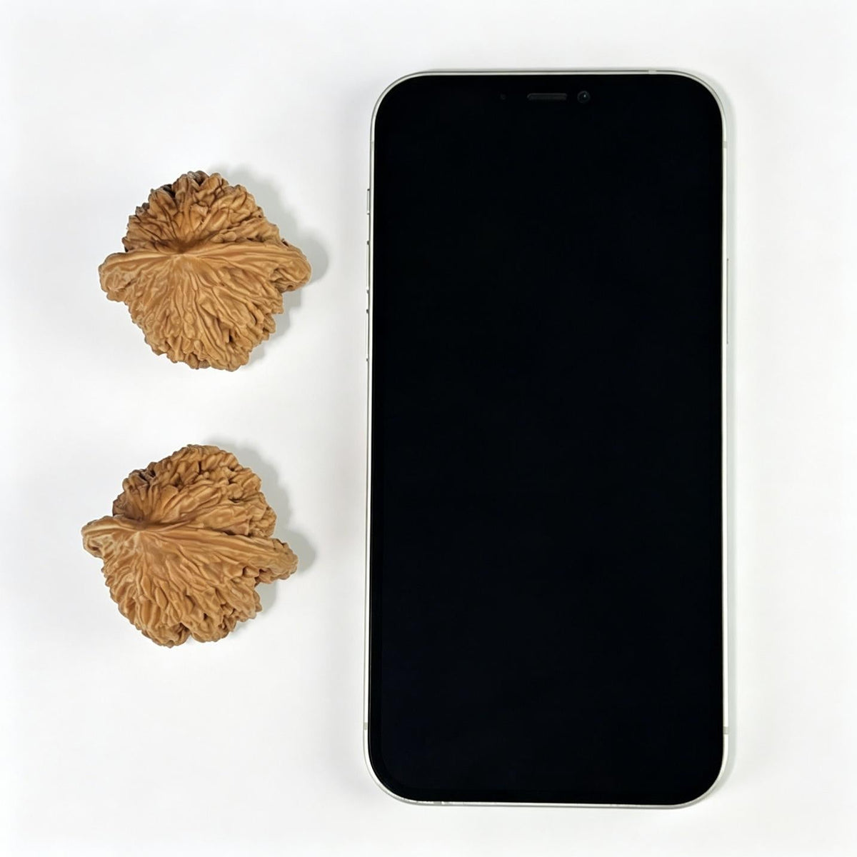 The "Imperial Wheat Ear" (Mai Sui Hu Tou) Premium Balanced Pair | 41.0mm x 40.0mm | MSHT-1001 - ThePatinaProject