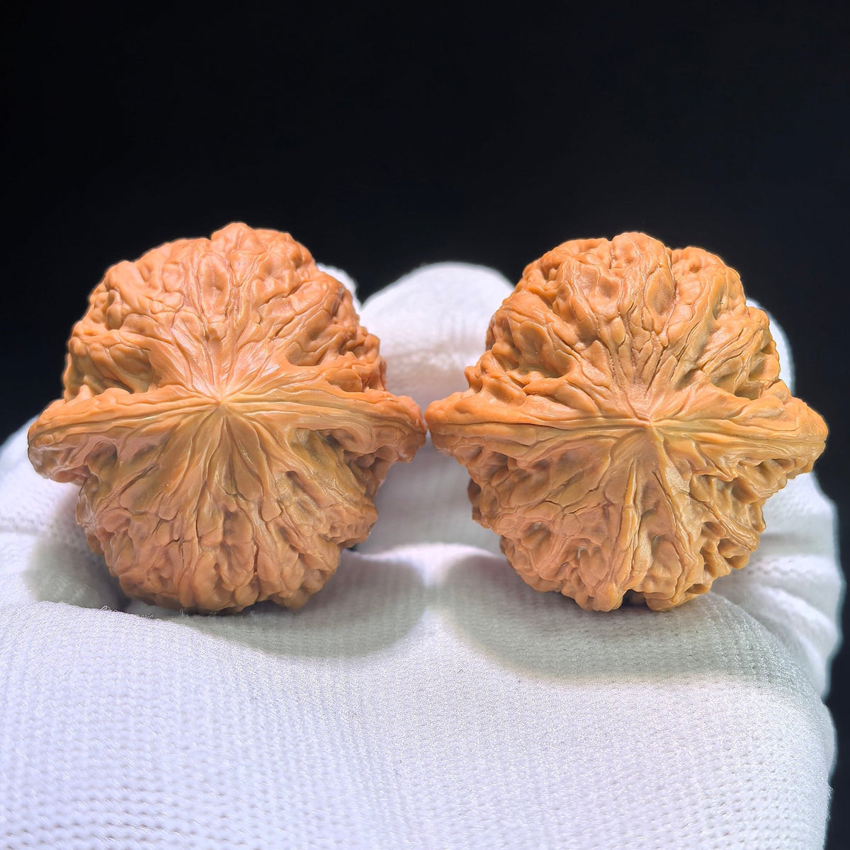 The "Iron Hammer" (Tie Chui) Plump High-Posture Boutique Pair | 39.0mm x 38.0mm | TC-1201C - ThePatinaProject