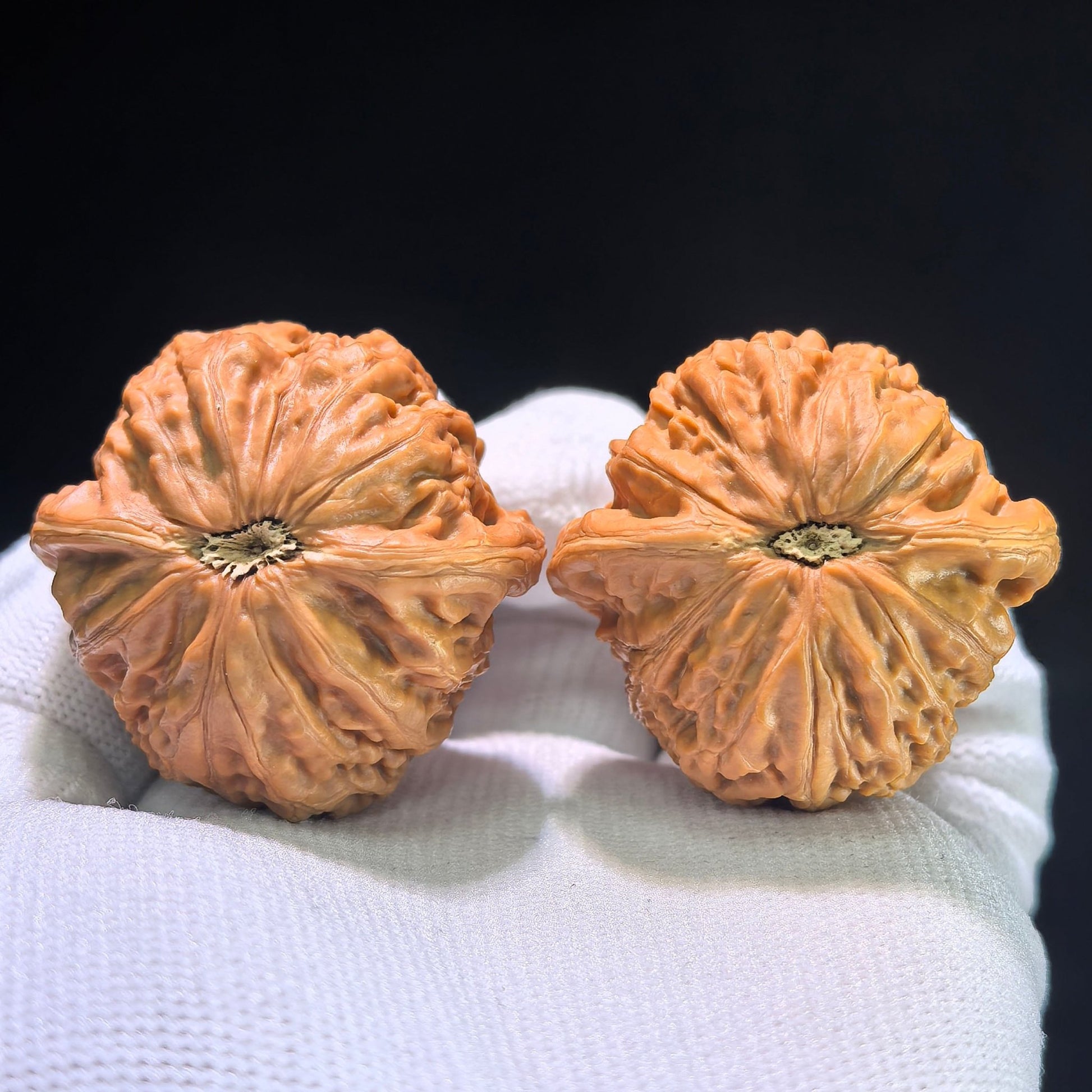 The "Iron Hammer" (Tie Chui) Plump High-Posture Boutique Pair | 39.0mm x 38.0mm | TC-1201C - ThePatinaProject