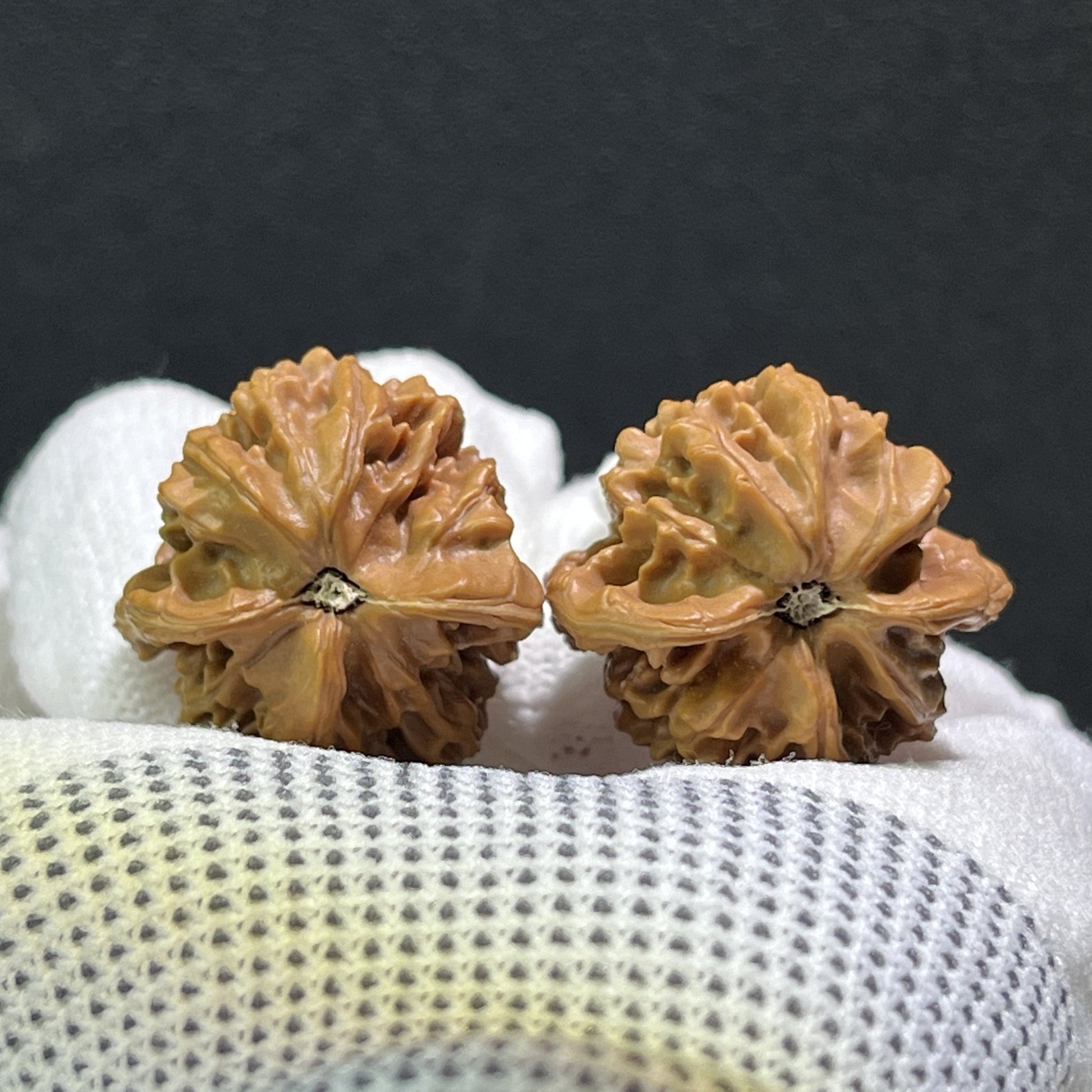 The Irregular "Little Bird" (Yi Xing Xiao Niao) Pair | 29.0mm x 29.0mm | YXXL-403 - ThePatinaProject