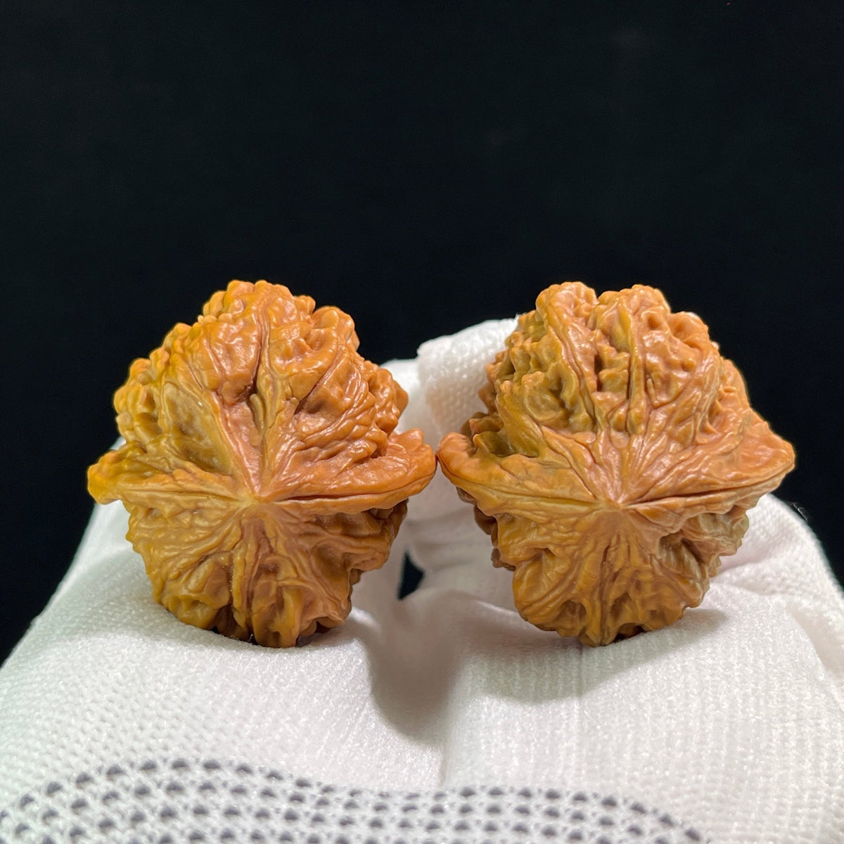 The "Jiu Long Yu" (Nine Dragons Valley) Balanced 1:1 Pair | 35.0mm x 35.0mm | JLY-704 - ThePatinaProject