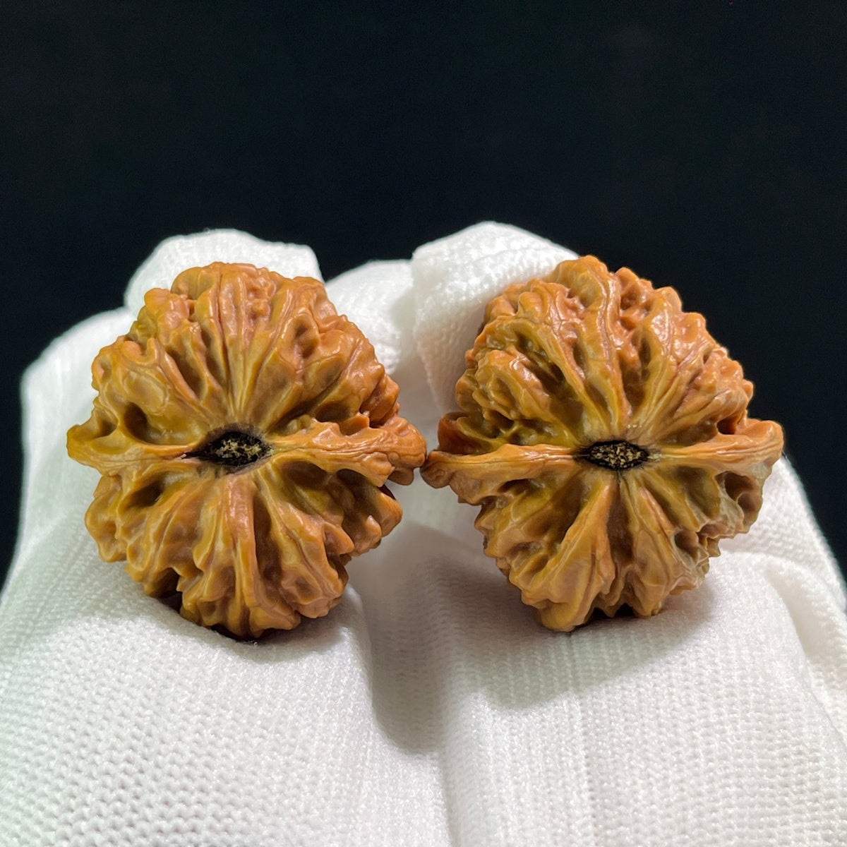 The "Jiu Long Yu" (Nine Dragons Valley) Balanced 1:1 Pair | 35.0mm x 35.0mm | JLY-704 - ThePatinaProject