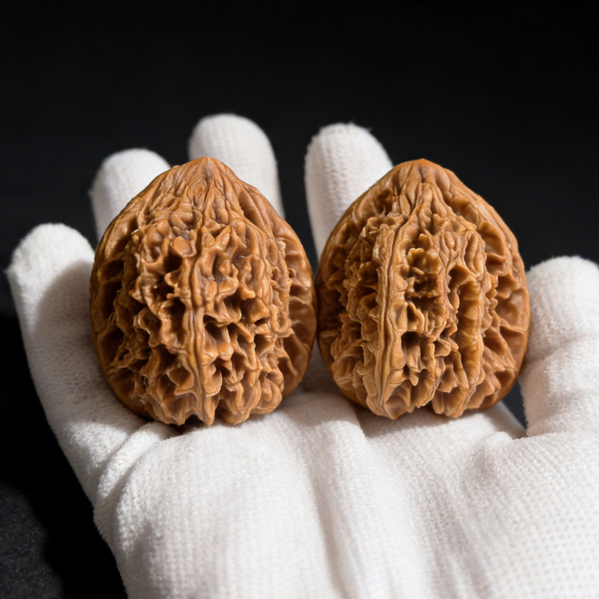 The Jixin Pair | 40.0mm x 48.0mm | JX-301 - ThePatinaProject
