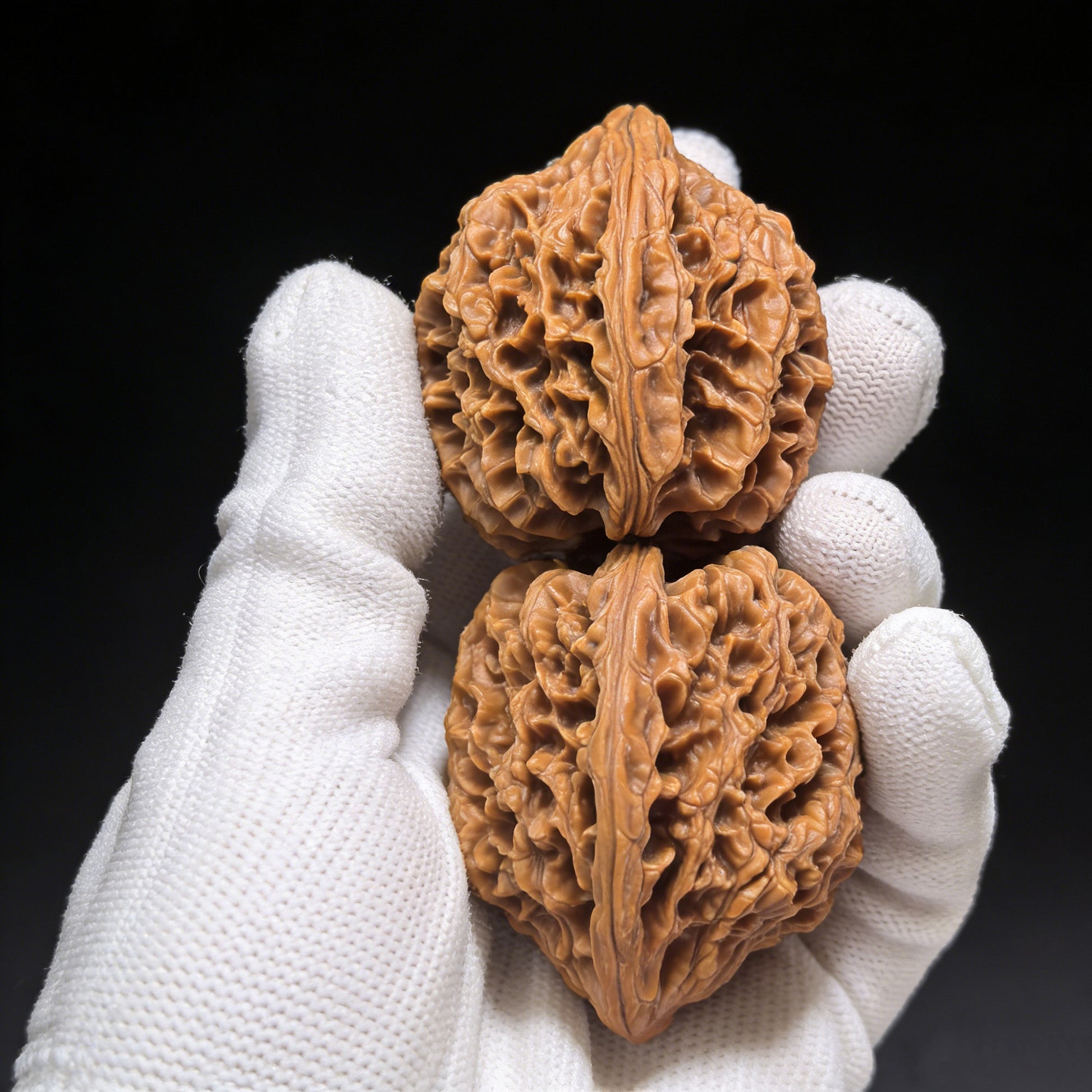 The Jixin Pair | 40.0mm x 48.0mm | JX-301 - ThePatinaProject
