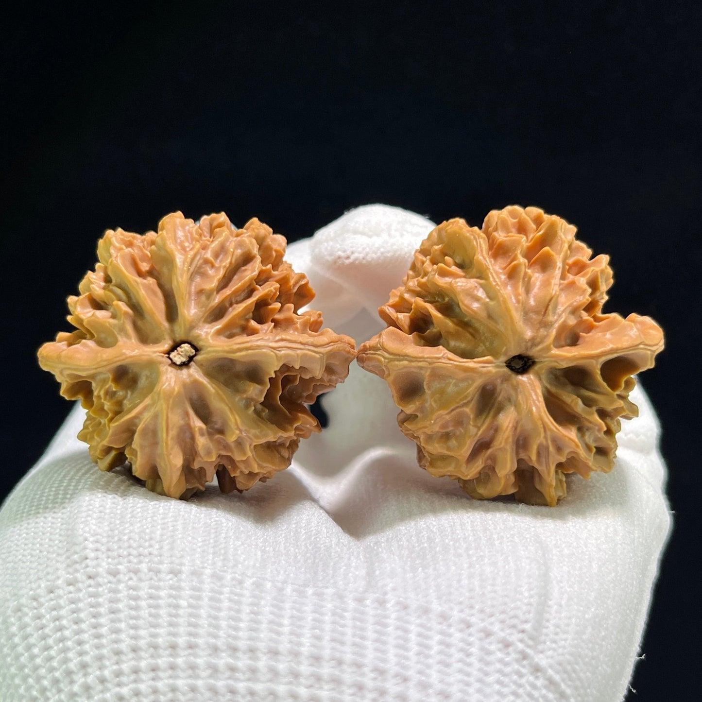 The "Lantern" (Deng Long) Pair | 39.0mm x 38.0mm | DL-801 - ThePatinaProject