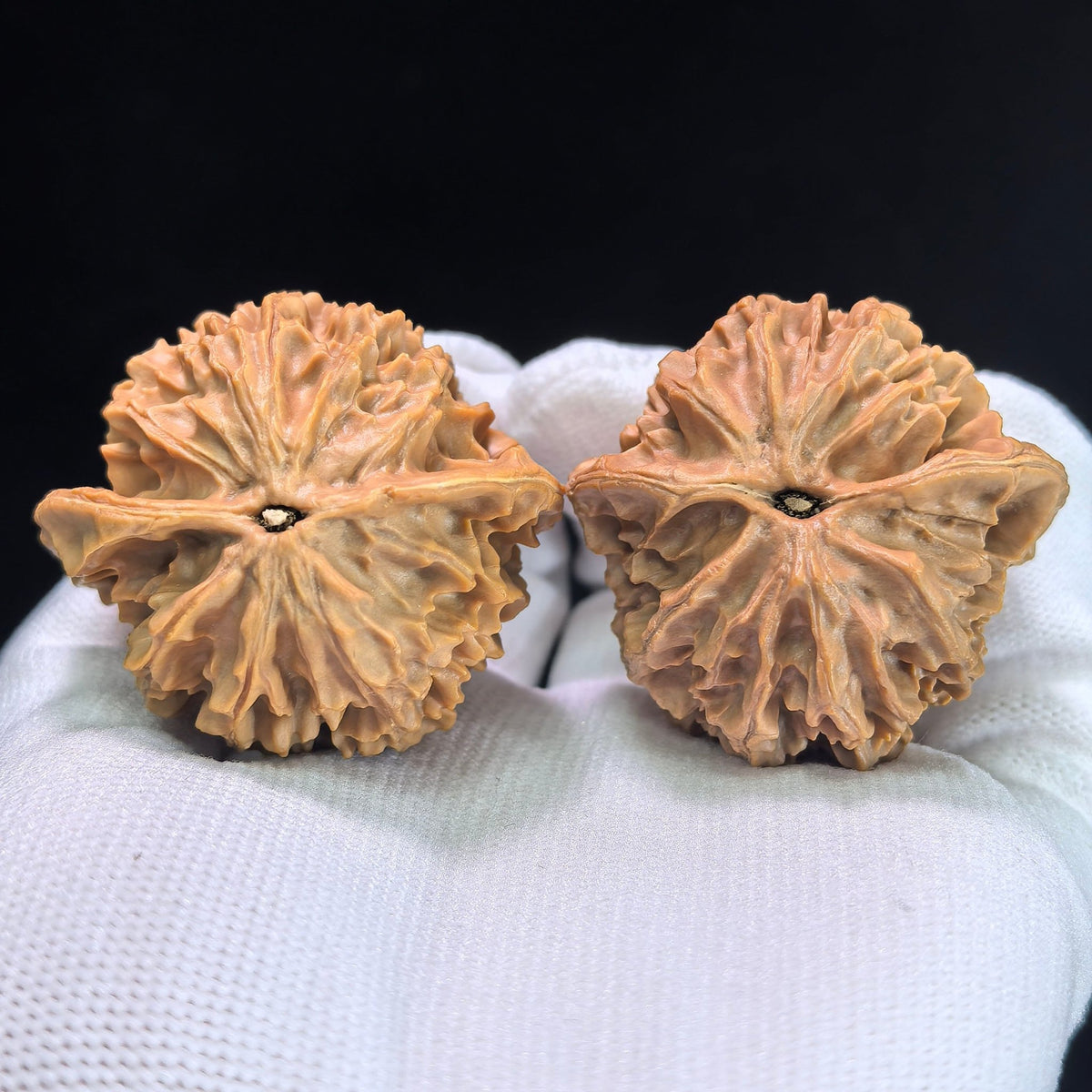 The "Lantern" (Deng Long) Pair | 42.0mm x 39.0mm | DL-601 - ThePatinaProject