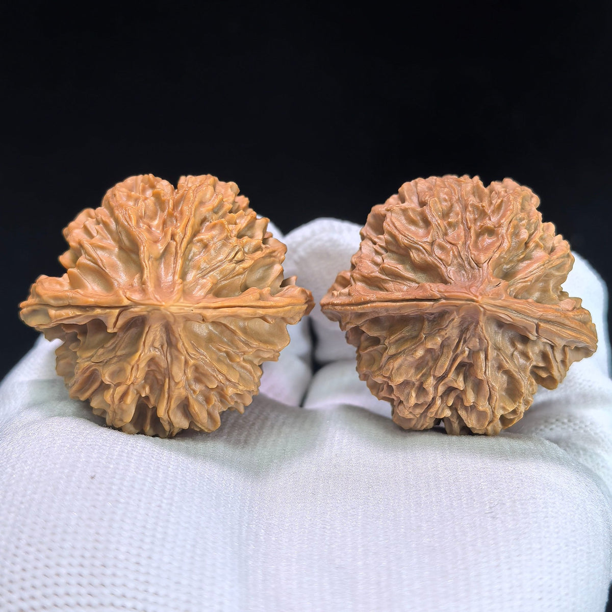 The "Lantern" (Deng Long) Pair | 42.0mm x 39.0mm | DL-601 - ThePatinaProject