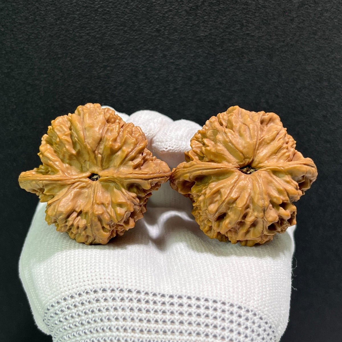 The "Large Official's Hat" (Da Guan Mao) Pair | 46.0mm x 42.0mm | DGM-512 - ThePatinaProject