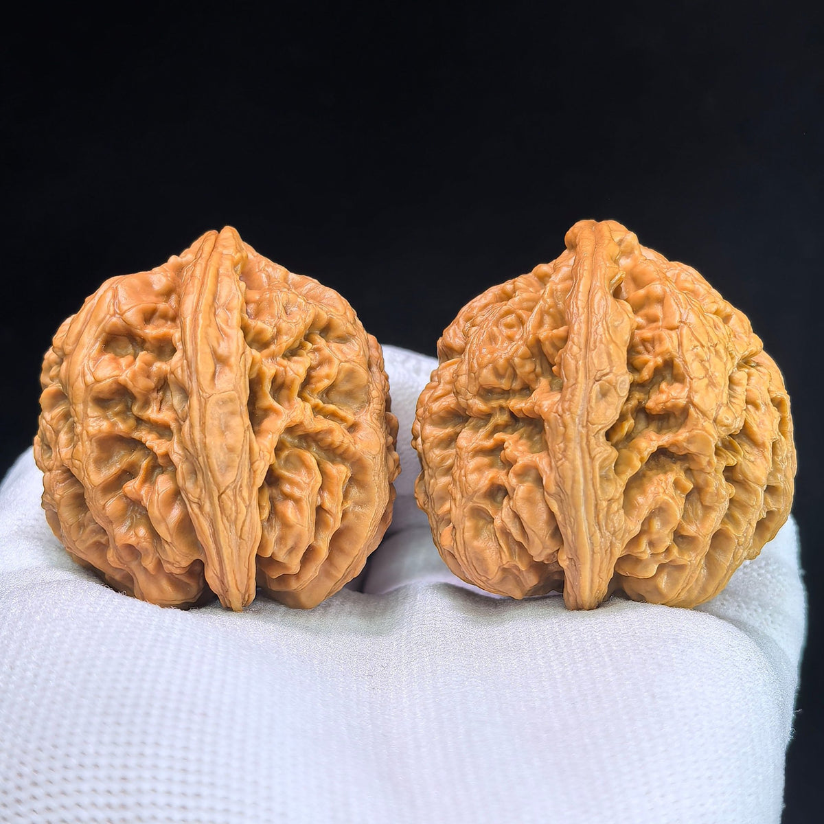 The "Large Thick Ridge" (Da Cu Jin) Pair | 40.0mm x 41.0mm | CJ-402 - ThePatinaProject