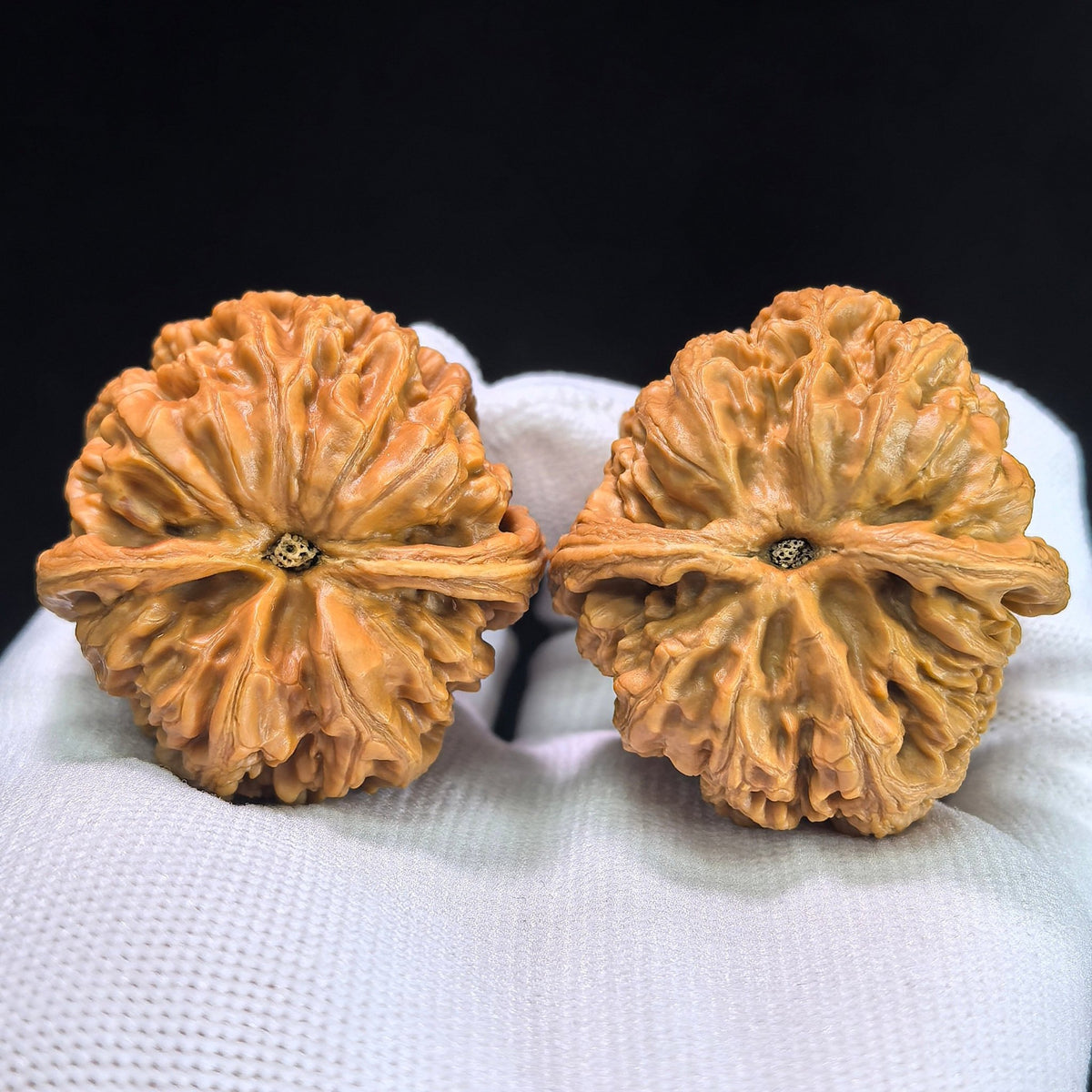 The "Large Thick Ridge" (Da Cu Jin) Pair | 40.0mm x 41.0mm | CJ-402 - ThePatinaProject