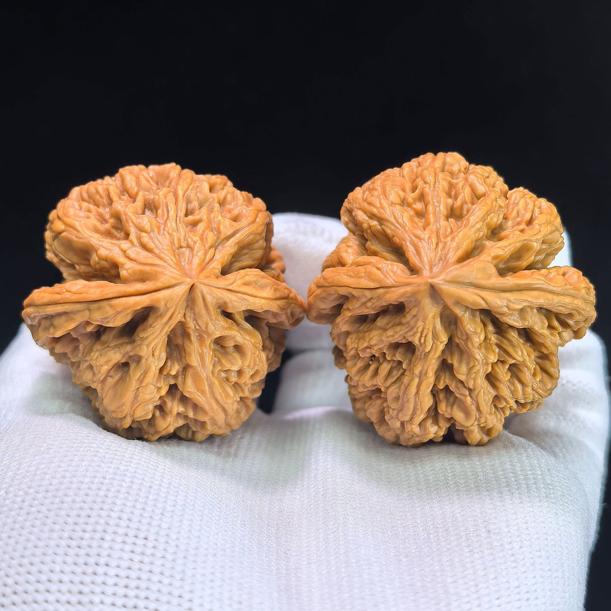 The "Large Thick Ridge" (Da Cu Jin) Pair | 40.0mm x 41.0mm | CJ-402 - ThePatinaProject