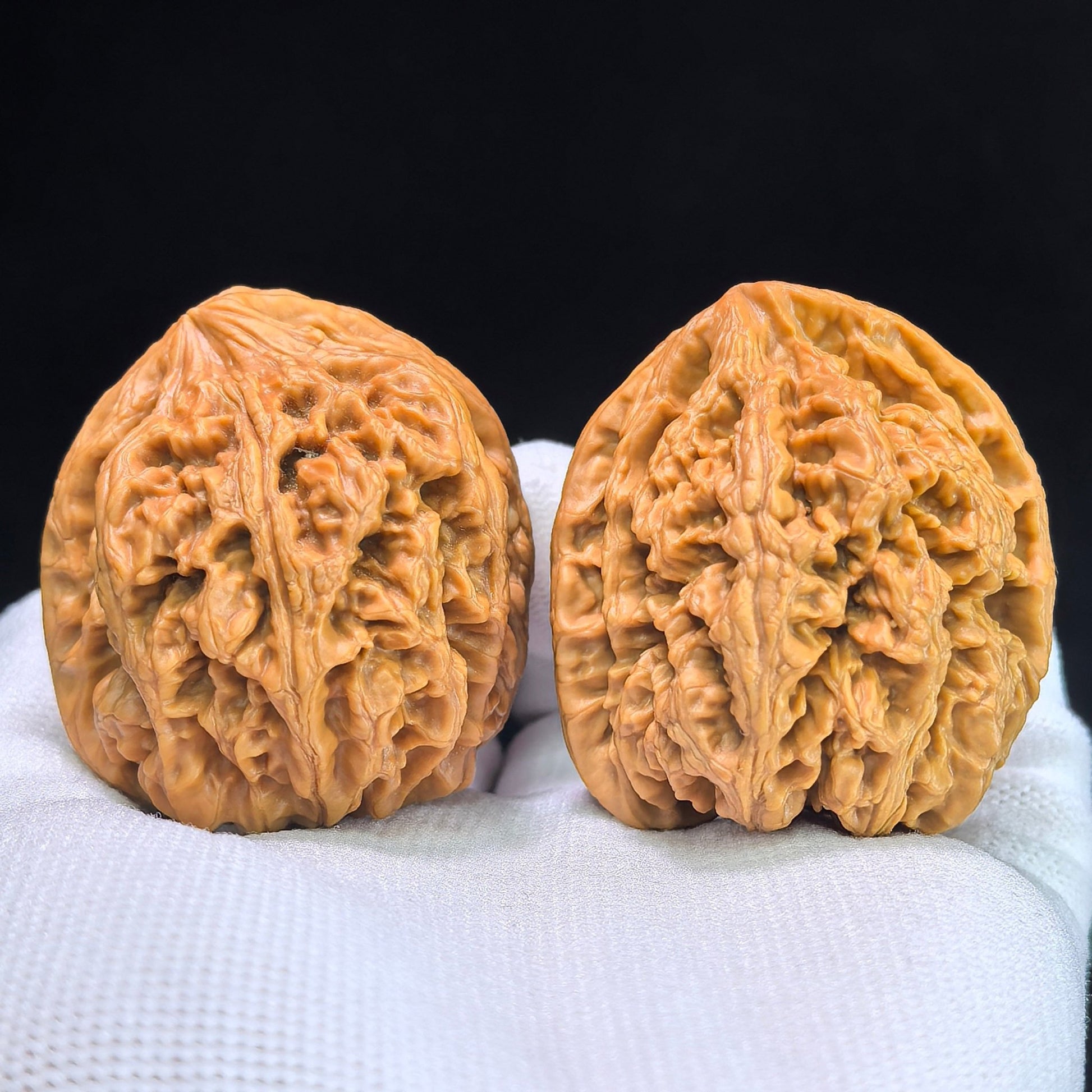 The "Large Thick Ridge" (Da Cu Jin) Pair | 40.0mm x 41.0mm | CJ-402 - ThePatinaProject