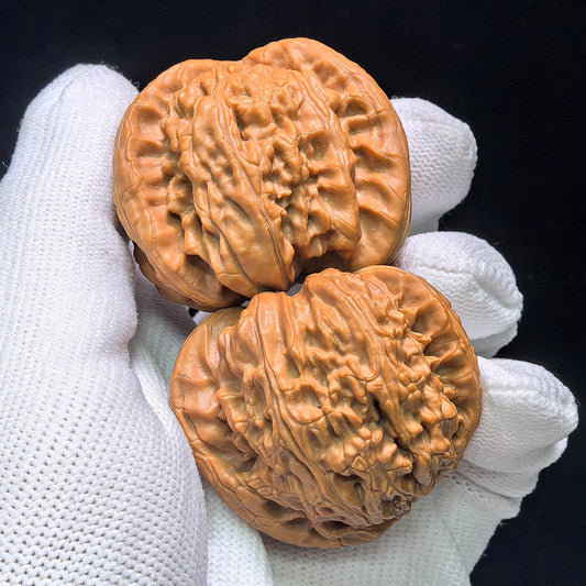 The Legendary "Fair-Wind Ear" Lion Head Masterpiece | 39.0mm x 45.0mm | SFESZT-1402E - ThePatinaProject
