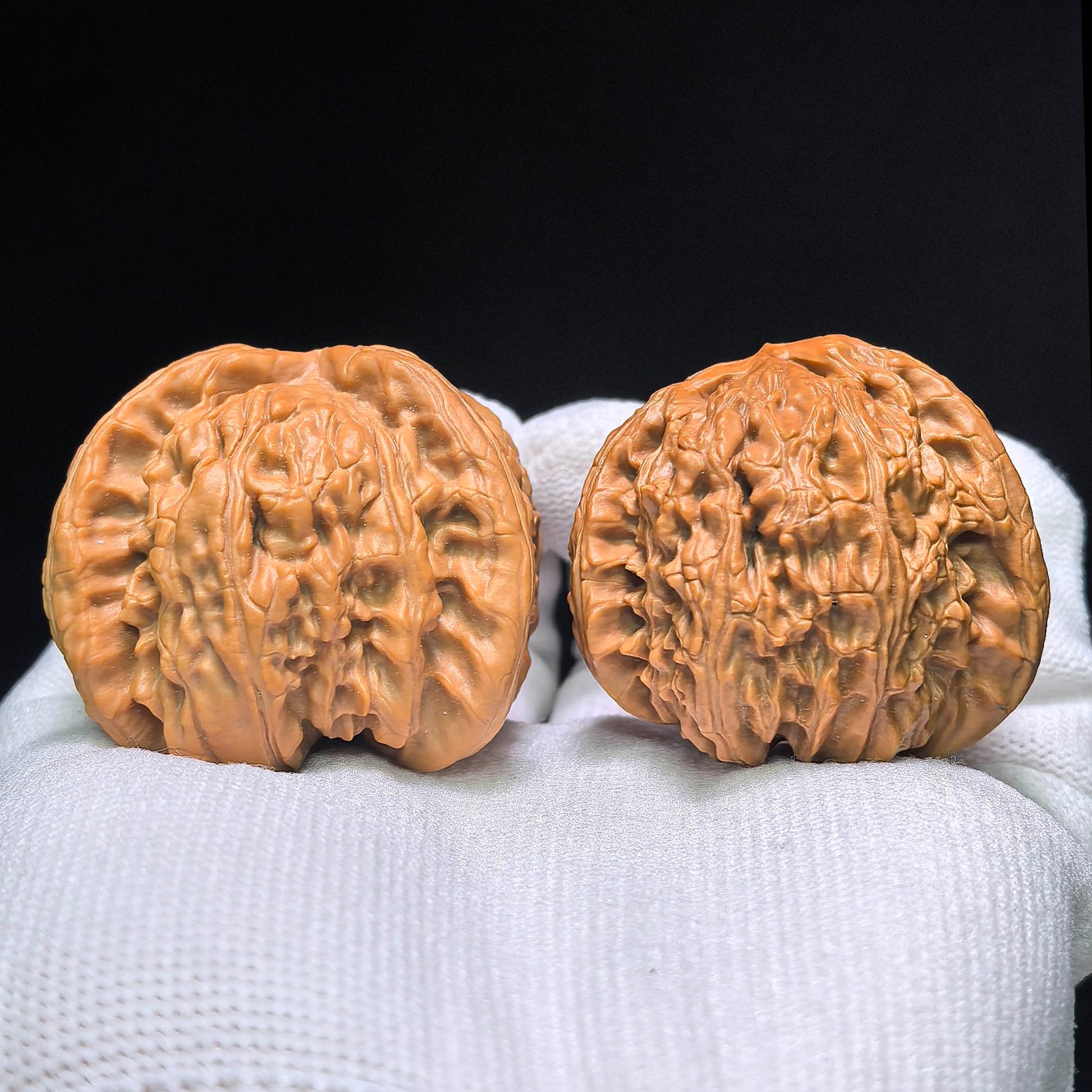 The Legendary "Fair-Wind Ear" Lion Head Masterpiece | 39.0mm x 45.0mm | SFESZT-1402E - ThePatinaProject