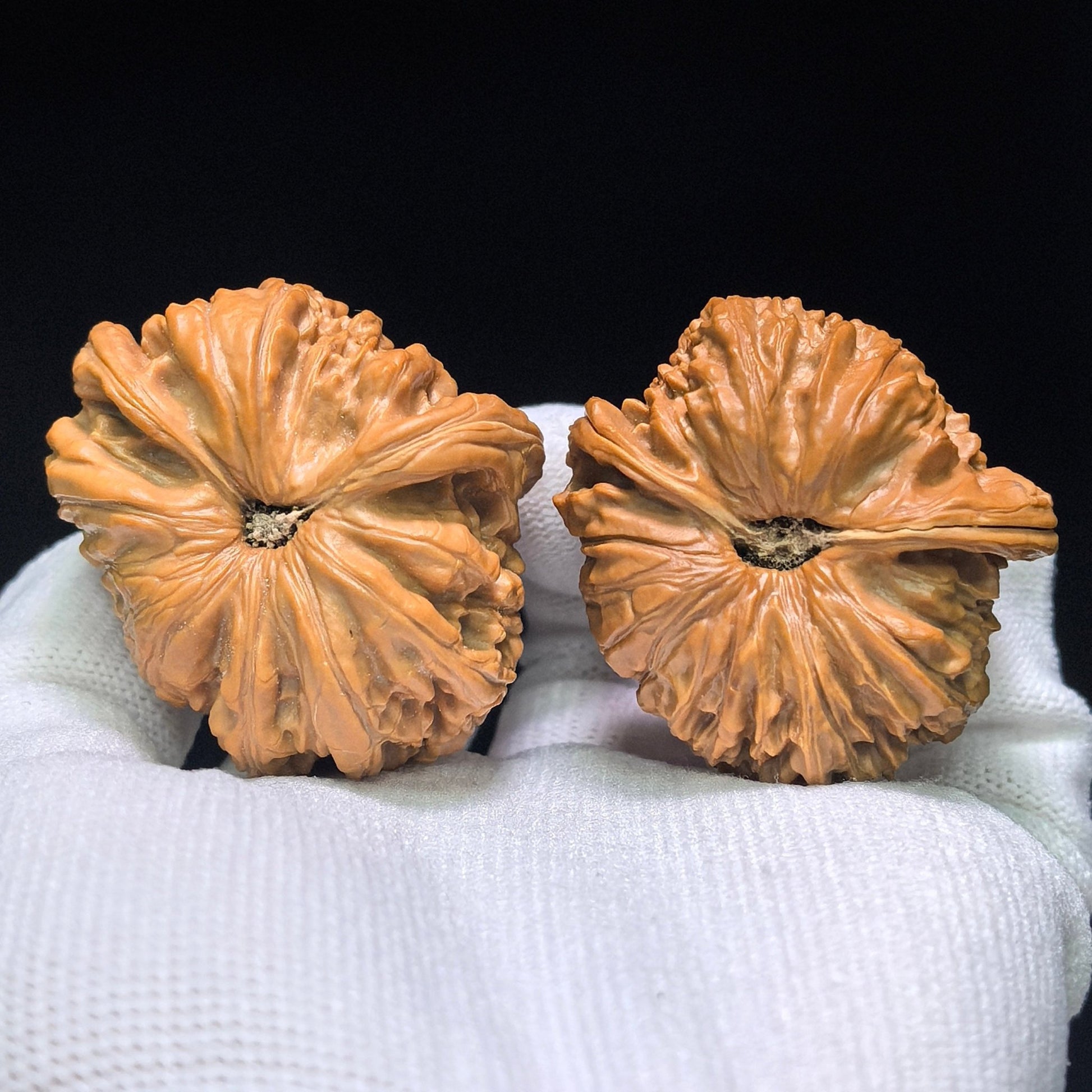 The Legendary "Fair-Wind Ear" Lion Head Masterpiece | 39.0mm x 45.0mm | SFESZT-1402E - ThePatinaProject