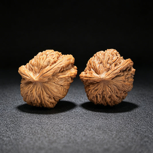 The Legendary "Fair-Wind Ear" Lion Head Masterpiece | 39.0mm x 45.0mm | SFESZT-1402E - ThePatinaProject