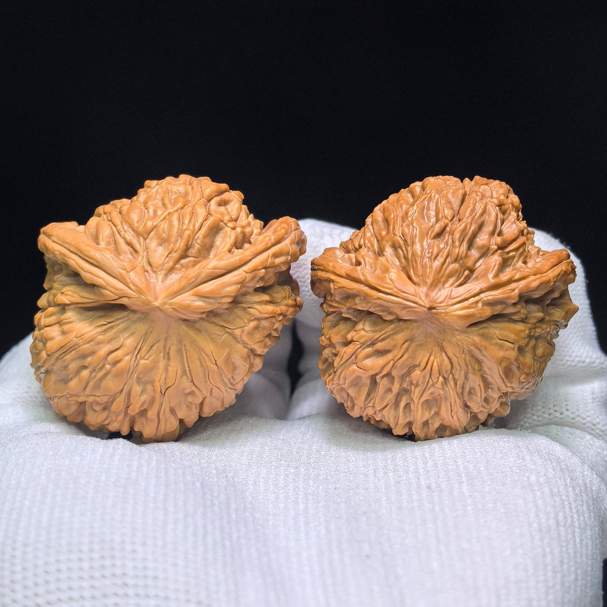 The Legendary "Fair-Wind Ear" Lion Head Masterpiece | 39.0mm x 45.0mm | SFESZT-1402E - ThePatinaProject