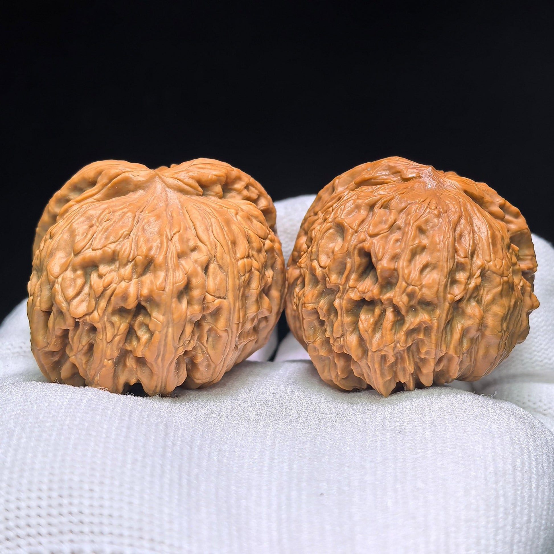 The Legendary "Fair-Wind Ear" Lion Head Masterpiece | 39.0mm x 45.0mm | SFESZT-1402E - ThePatinaProject