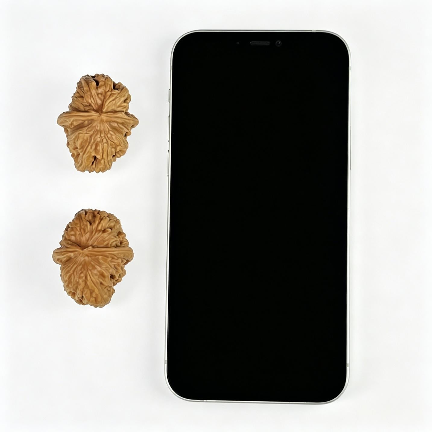 The Legendary "Pinggu Square" Pinggu Fangkuai Lion Head Pocket Masterpiece | 31.0mm x 38.0mm | PGFK-1001 - ThePatinaProject