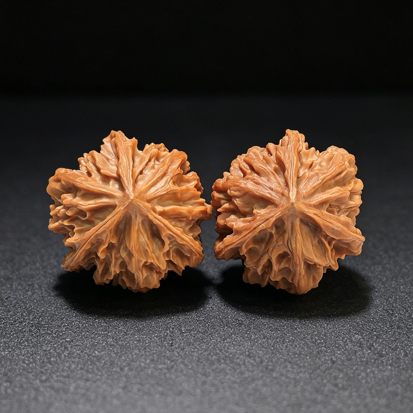 The Legendary "Qishan Three-Ribbed Meteor Ben" Qishan Sanleng Ben Pocket Masterpiece | 32.0mm x 31.0mm | QSSN-402E - ThePatinaProject