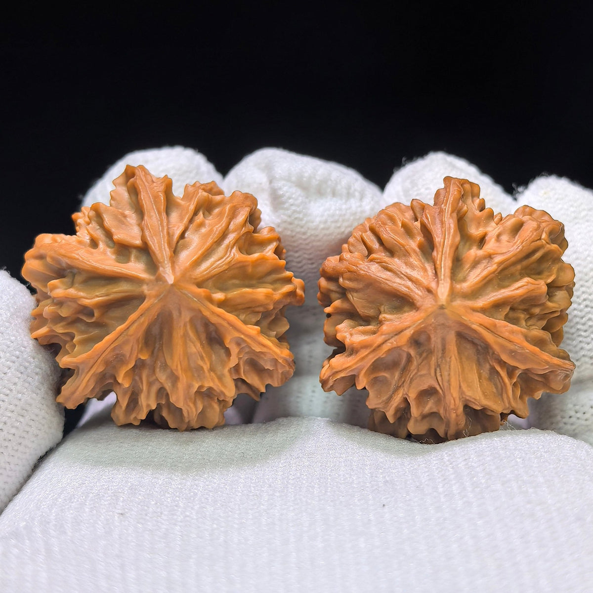 The Legendary "Qishan Three-Ribbed Meteor Ben" Qishan Sanleng Ben Pocket Masterpiece | 32.0mm x 31.0mm | QSSN-402E - ThePatinaProject