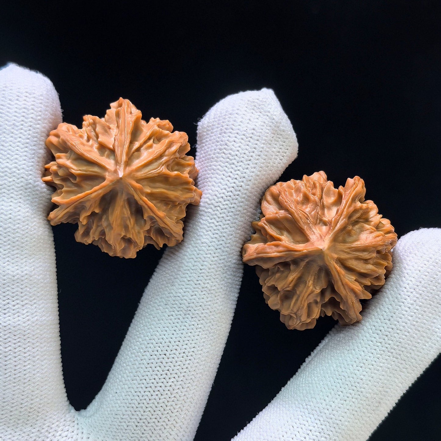 The Legendary "Qishan Three-Ribbed Meteor Ben" Qishan Sanleng Ben Pocket Masterpiece | 32.0mm x 31.0mm | QSSN-402E - ThePatinaProject