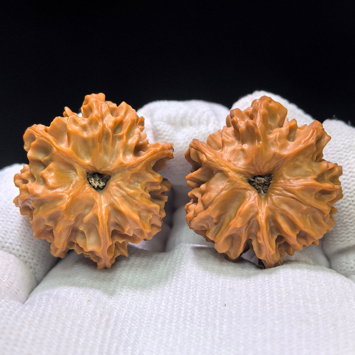 The Legendary "Qishan Three-Ribbed Meteor Ben" Qishan Sanleng Ben Pocket Masterpiece | 32.0mm x 31.0mm | QSSN-402E - ThePatinaProject