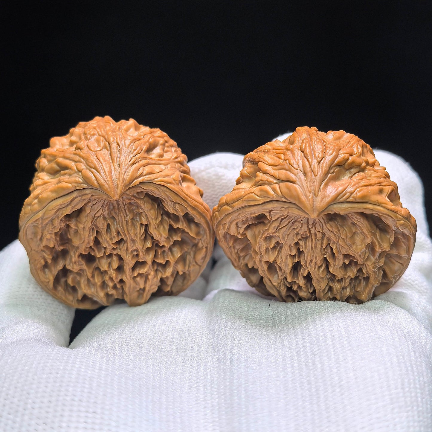 The Legendary "Snake Head" Dagushi Masterpiece | 40.0mm x 32.0mm | DGSST-1401E - ThePatinaProject