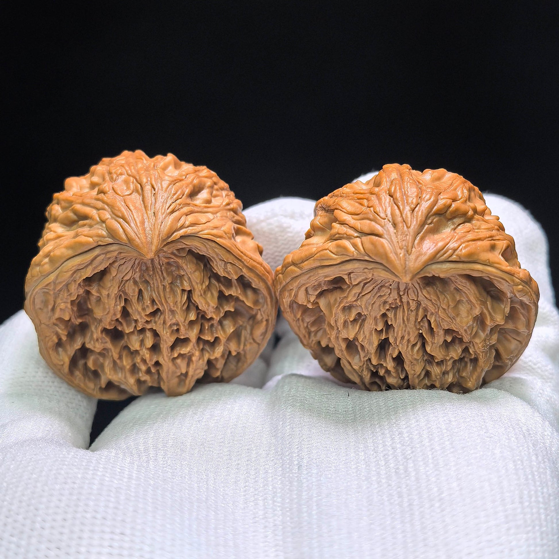 The Legendary "Snake Head" Dagushi Masterpiece | 40.0mm x 32.0mm | DGSST-1401E - ThePatinaProject