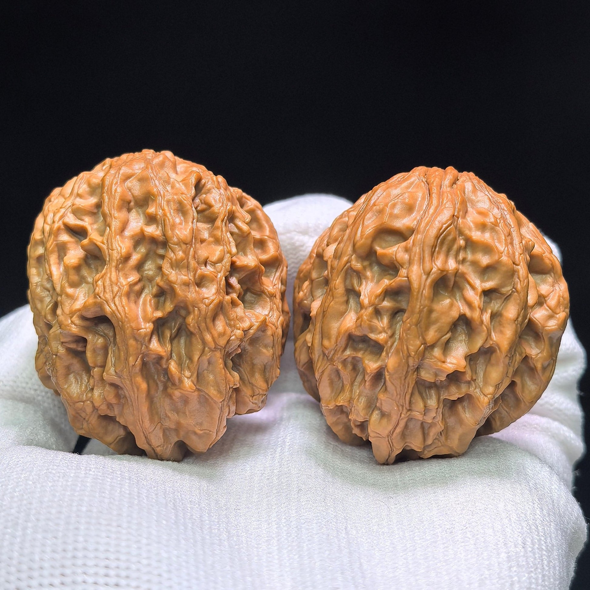 The Legendary "Snake Head" Dagushi Masterpiece | 40.0mm x 32.0mm | DGSST-1401E - ThePatinaProject